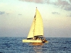 Icarus_Fidji_39_catamaran_sailing